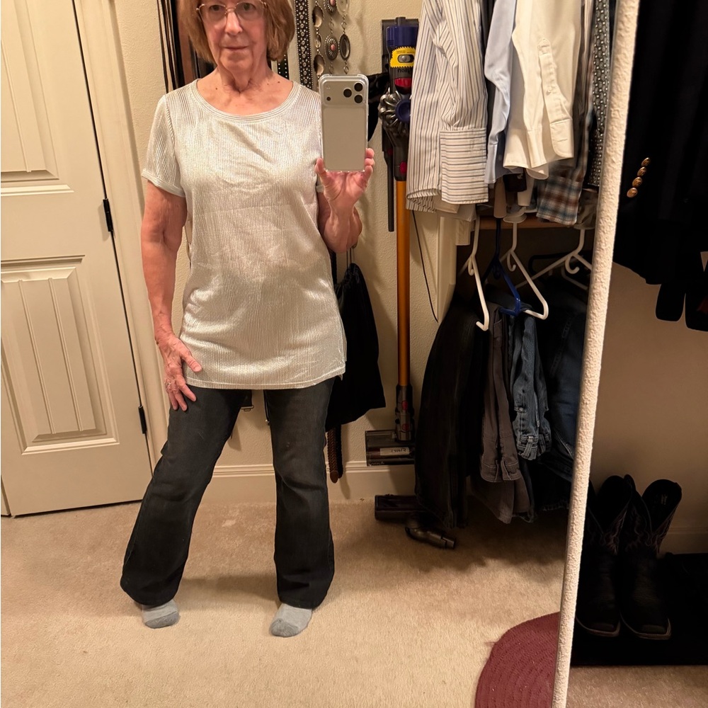 10/10$ Bar 111. Metallic Silver Blouse. Medium but fits like a small.